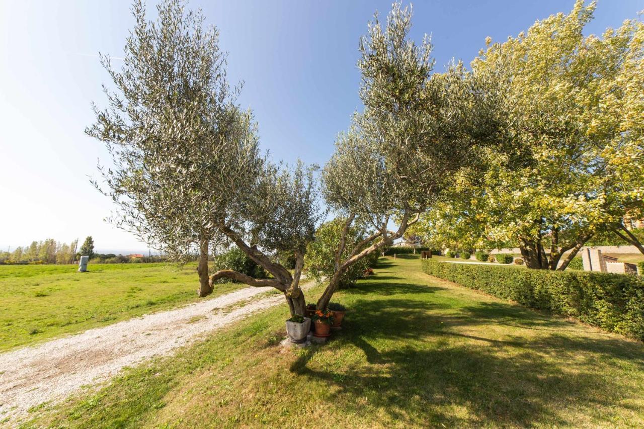 Agriturismo Bella Cima مونتيفياسكون المظهر الخارجي الصورة