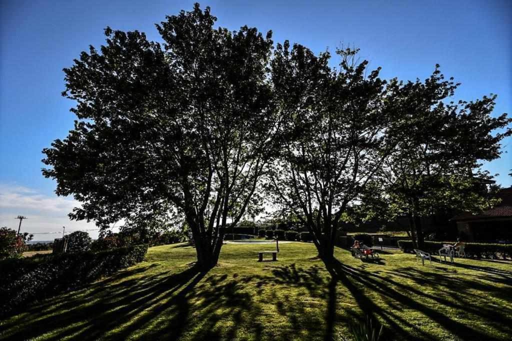 Agriturismo Bella Cima مونتيفياسكون المظهر الخارجي الصورة
